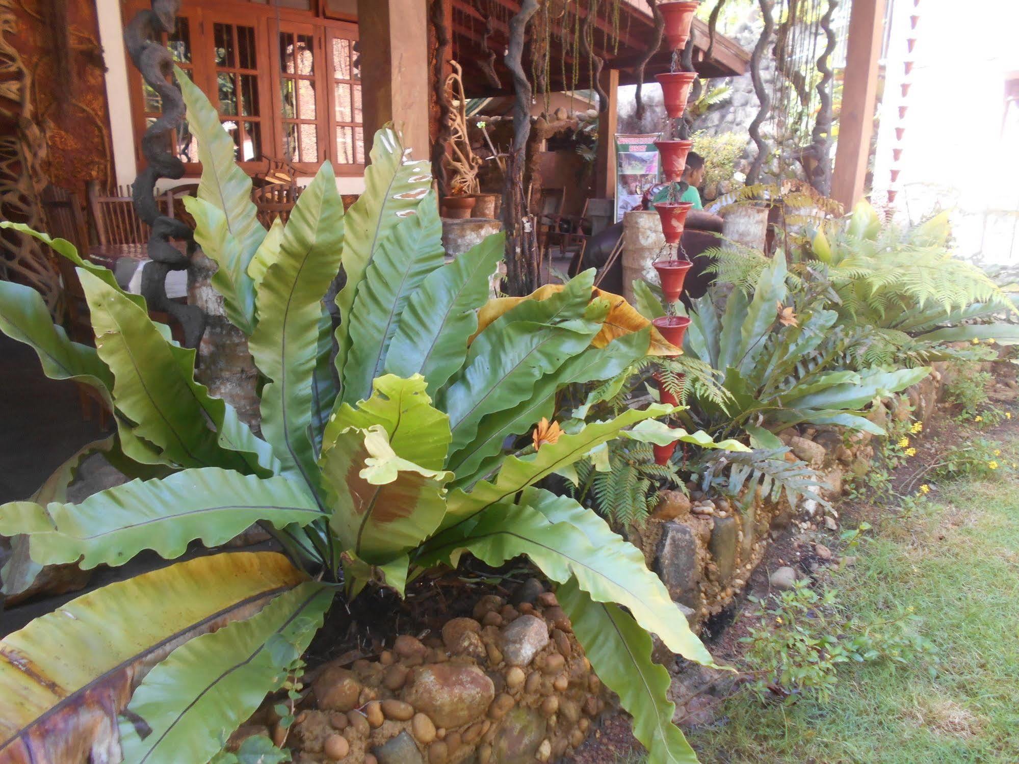Sapphire Holiday Resort Ratnapura Extérieur photo