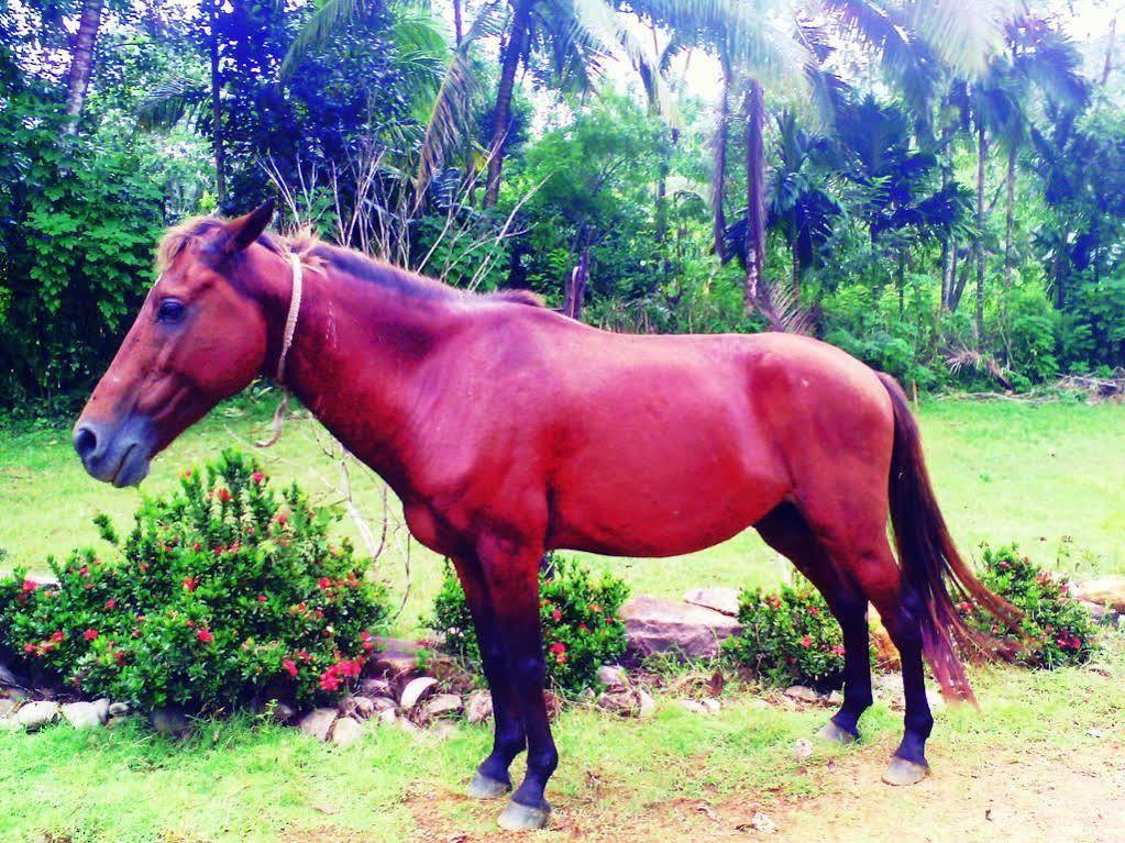 Sapphire Holiday Resort Ratnapura Extérieur photo
